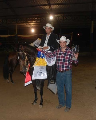 I Copa Am&eacute;rica de Caballos de Paso Valencia 2012 | Caballo, Caballos | Scoop.it