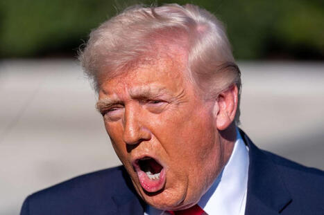 WSJ: H&auml;vitt&auml;j&auml;n putoaminen oli Trumpille liikaa &ndash; Raivosi alaisilleen tuntitolkulla | 1Uutiset - Lukemisen t&auml;hden | Scoop.it