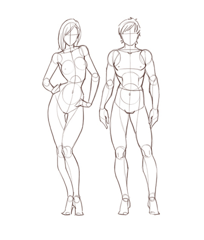 Male And Female Anatomy Reference Guide Drawi