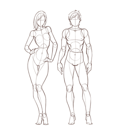 Male and Female Anatomy Reference Guide | Drawing References and Resources | Scoop.it