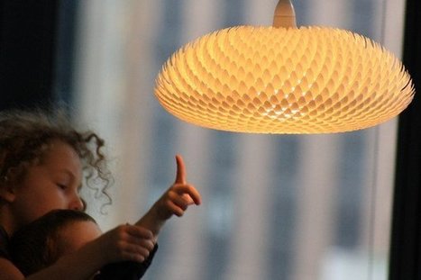 Waratah Pendant Luminaire - iD Lights | 1001 Light ideas ! | Scoop.it