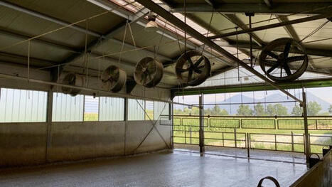 Installer une ventilation mécanique en élevage laitier est-ce rentable? | Actualités de l'élevage | Scoop.it