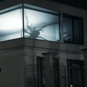 Les araignees géantes attaquent ! Une effrayante projection vidéo de Friedrich Van Schoor | Cabinet de curiosités numériques | Scoop.it