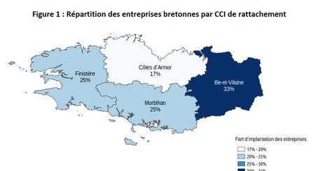 La place du numérique dans les entreprises bretonnes | Formation : Innovations et EdTech | Scoop.it