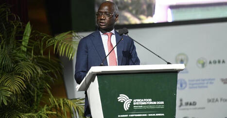 SENEGAL : Le gouvernement veut mobiliser 1 470 milliards FCFA pour booster son agriculture | Revue de presse - Club DEMETER | Scoop.it