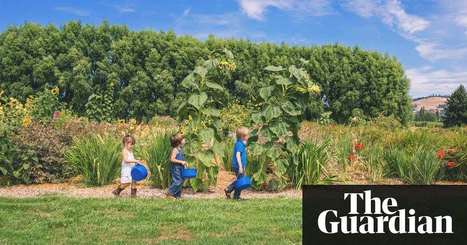 'It captures their imagination': teaching sustainability through the arts | Global Sustainable Development Goals in Education | Scoop.it