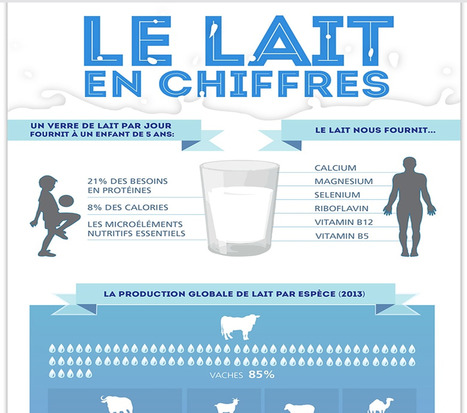 Infographie : Le lait en chiffres - ONU via ArteFuture | Lait de Normandie... et d'ailleurs | Scoop.it