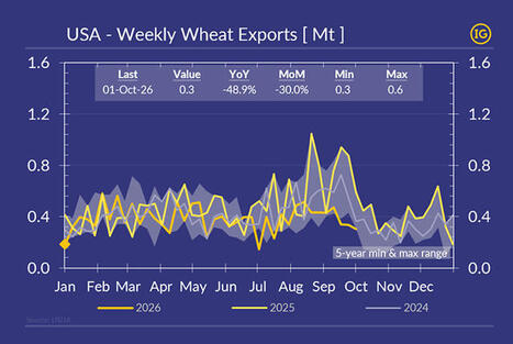 US wheat exports stuck at seasonal lows | IFCHOR GALBRAITHS | MED-Amin network | Scoop.it