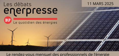 D&eacute;bats BIP ENERPRESSE 1 Quels prix de l&rsquo;&eacute;lectricit&eacute; en 2025-2026 dans le cadre du post-Arenh | Webikeo | Economie | Scoop.it