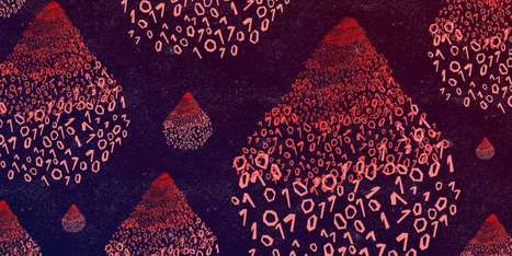 Pourquoi la science tarde encore &agrave; s&rsquo;int&eacute;resser aux r&egrave;gles | Le fil d'actualit&eacute;s de l'URCA | Scoop.it