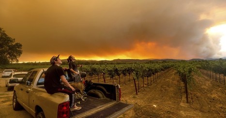 Massive California wildfires burn area larger than Rhode Island | Coastal Restoration | Scoop.it