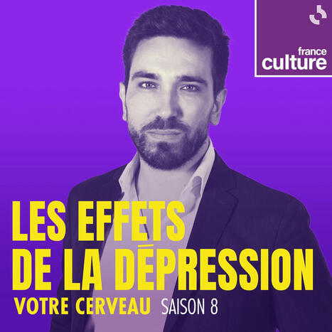 Comment fonctionne votre mémoire : un podcast à écouter en ligne | France Culture | Radio France | Actualité sanitaire et sociale - CRDI Croix-Rouge Compétence                               Hauts-de-France | Scoop.it