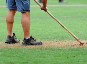 Gazon maudit au Stadium | Toulouse La Ville Rose | Scoop.it