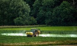 UN experts denounce 'myth' pesticides are necessary to feed the world | GTAV AC:G Y9 - Biomes and food security | Scoop.it