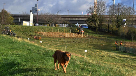 Lille: au Faubourg de B&eacute;thune, une ferme urbaine am&eacute;nag&eacute;e en 2022 | Nature en ville | Scoop.it