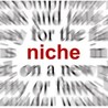 Niche Social Network Development