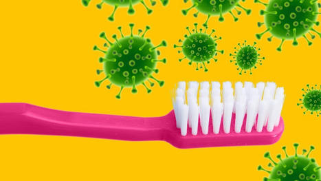 How often should you change your toothbrush? | Physical and Mental Health - Exercise, Fitness and Activity | Scoop.it