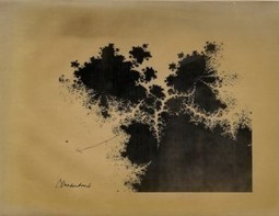 Visionary Images: The Lost Fractals of Benoît Mandelbrot | Wired Science | Wired.com | Complex Insight  - Understanding our world | Scoop.it