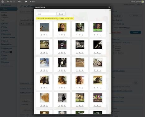 WordPress › Compfight « WordPress Plugins | WORDPRESS4You | Scoop.it