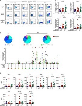 Mixed Th1 and Th2 Mycobacterium tuberculosis-specific CD4 T cell responses in patients with active pulmonary tuberculosis from Tanzania | Mucosal Immunity | Scoop.it