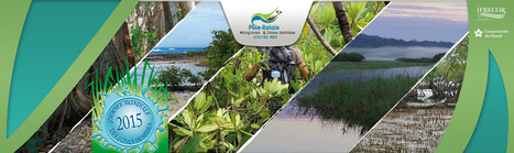 P&ocirc;le-relais Mangroves & Zones Humides d'outre-mer | Biodiversit&eacute; | Scoop.it
