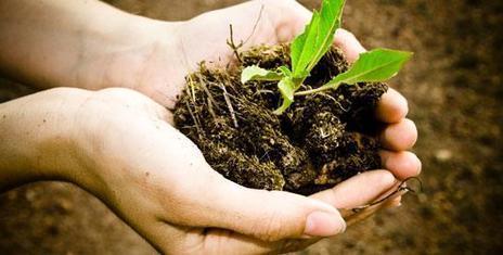 Restoring Your Soil | Gardening | Hobby | Garden Care | Hobby, LifeStyle and much more... (multilingual: EN, FR, DE) | Scoop.it