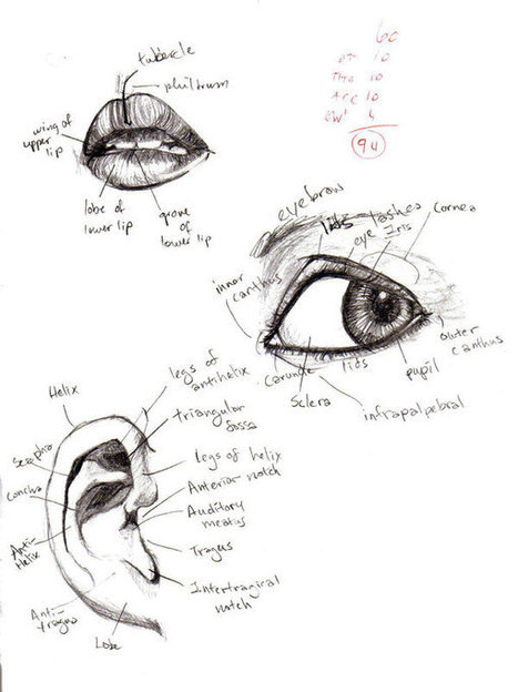 Anatomy- Eye, Lip, Ear 1 by tatsumakichan on deviantART | Drawing References and Resources | Scoop.it