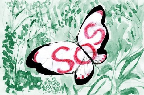 Les effets ravageurs du réchauffement climatique sur la biodiversité | Toxique, soyons vigilant ! | Scoop.it