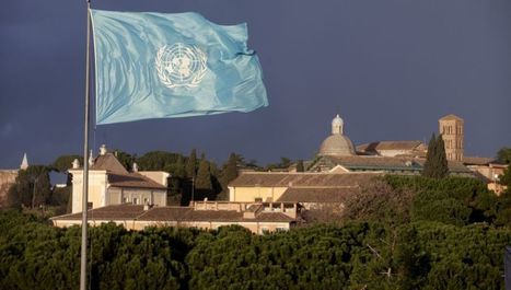 ICN2&nbsp;| Second International Conference on Nutrition | 19-21 November, Rome | Food & Nutrition Security in East Africa | Scoop.it