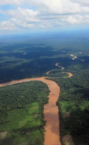 In the Rain Forests of Peru, a Modern Gold Rush Poisons the Environment and Rivers | BIODIVERSITY IS LIFE  – | Scoop.it