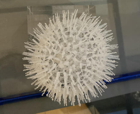 Dans le sillage de l’Océan Art | Université Bordeaux Montaigne | Scoop.it