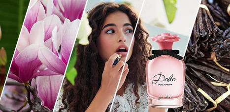 dolce and gabbana dolce garden