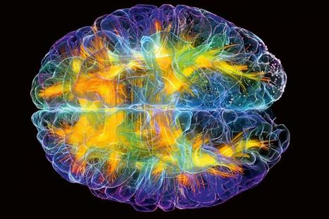 20 curiosidades sobre el cerebro humano que te sorprenderán - Procesa imágenes a toda velocidad | Temas curiosos o diversos | Scoop.it