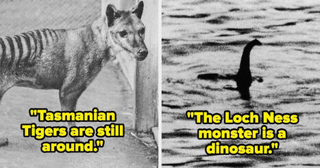 31 Wholesome Conspiracy Theories Worth Believing | Strange days indeed... | Scoop.it