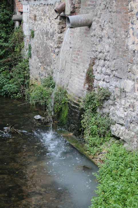 Honfleur - des travaux d&rsquo;assainissement pour combattre l&rsquo;Escherichia coli | Veille territoriale AURH | Scoop.it