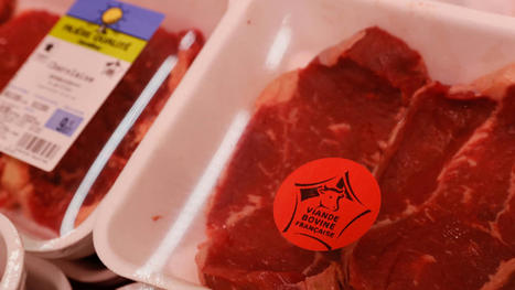 Pourquoi le prix de la viande explose en France | Actualité Bétail | Scoop.it