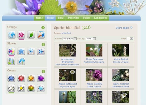 Identifiser blomster - NatureGate | Hobby, LifeStyle and much more... (multilingual: EN, FR, DE) | Scoop.it