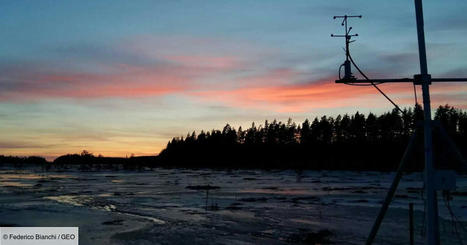 En Finlande, une tourbière vieille de 9 000 ans révèle le "parfum" perdu de l'atmosphère préindustrielle | Biodiversité | Scoop.it