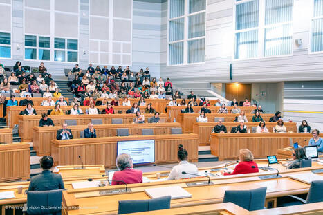 Observatoire d&eacute;partemental des violences faites aux femmes : 5&egrave;me journ&eacute;e interprofessionnelle&nbsp; | Politiques territoriales - Zoom r&eacute;gional | Scoop.it