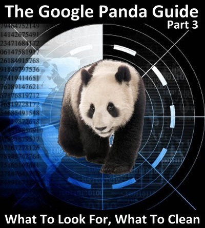 The Google Panda Guide - Part 3: What To Look For, What To Clean | Google Penalty World | Scoop.it