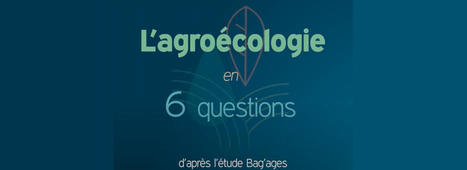 Qu’est-ce que l’agroécologie ? L’étude BAG’AGES en capsules vidéo ! | INRAE | Agroecologie et Systèmes Alimentaires Durables | Scoop.it
