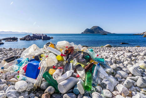56 Companies Responsible for Half of Global Plastic Pollution That Researchers Could Trace - EcoWatch.com | Agents of Behemoth | Scoop.it