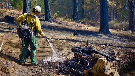 DNR warns eastern Washington forests are primed for severe wildfires - DailyFly.com | Operation Deimos | Scoop.it
