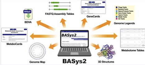 BASys2: a next-generation bacterial genome annotation system | nar | RMH | Scoop.it