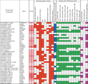 Genetics of rheumatoid arthritis contributes to biology and drug discovery | Immunopathology & Immunotherapy | Scoop.it