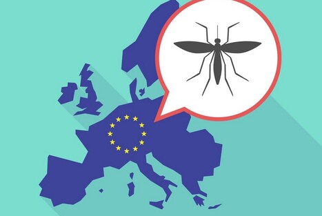 En Europe, les cas de dengue et de maladies liées aux moustiques connaissent une « hausse significative » | EntomoNews | Scoop.it