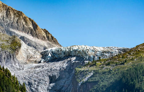 Sous les glaciers qui fondent, de nouvelles terres à protéger | Biodiversité : les chiffres-clés | Scoop.it