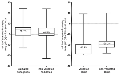 An in vivo screen identifies ependymoma oncogenes and tumor-suppressor genes - Nature Genetics | Genetics - GEG Tech top picks | Scoop.it