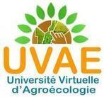 L’Université virtuelle d’agroécologie lance son premier module de formation en ligne - CIRAD | Insect Archive | Scoop.it