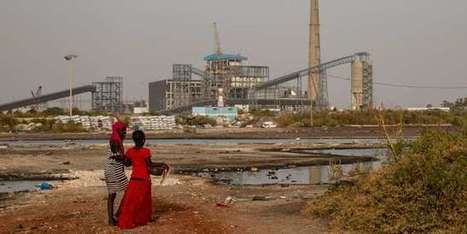 Climat : Dakar sacrifie ses pêcheurs pour le charbon | HALIEUTIQUE MER ET LITTORAL | Scoop.it